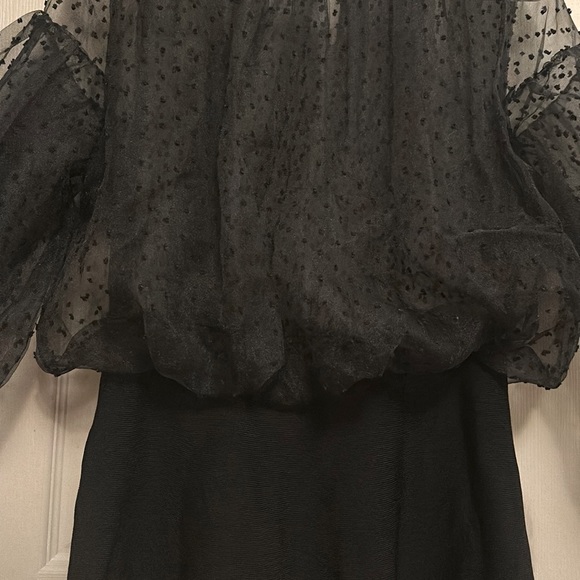 Zara Sheer Black Polka Dot Puff Sleeve Dress.
Size M. - Picture 12 of 13